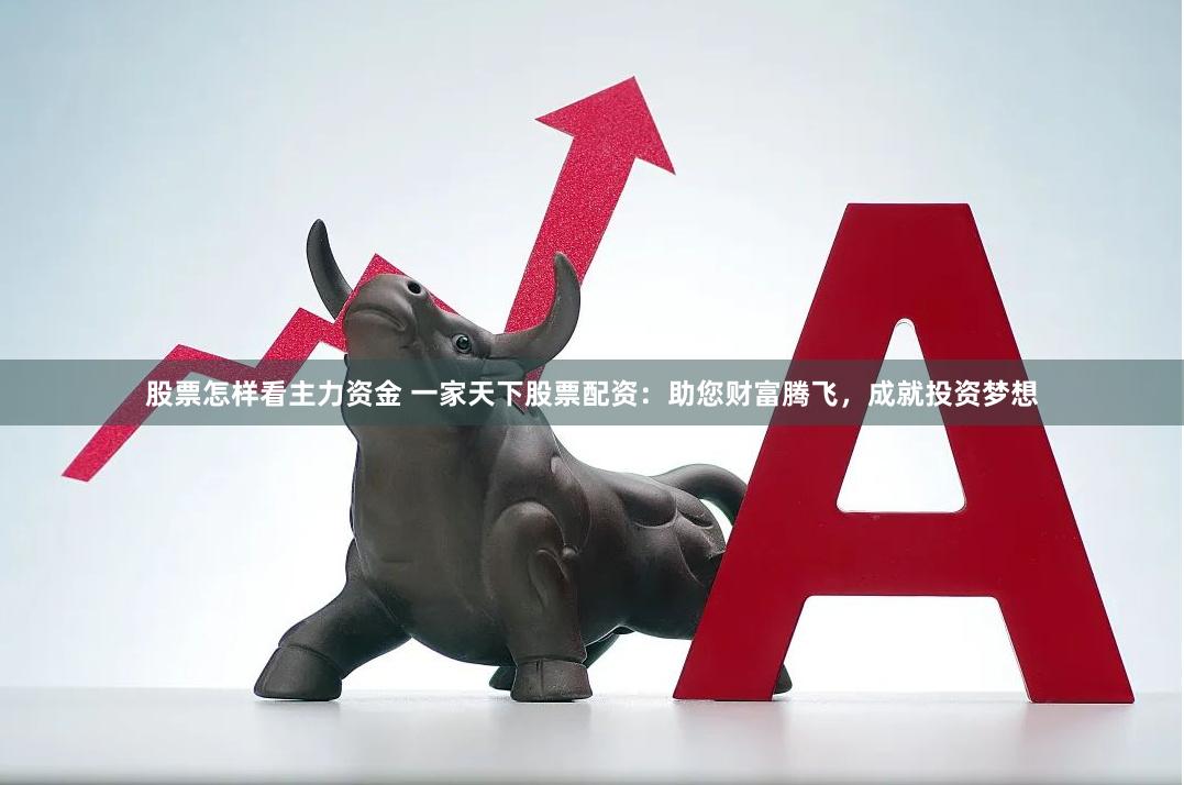 股票怎样看主力资金 一家天下股票配资：助您财富腾飞，成就投资梦想
