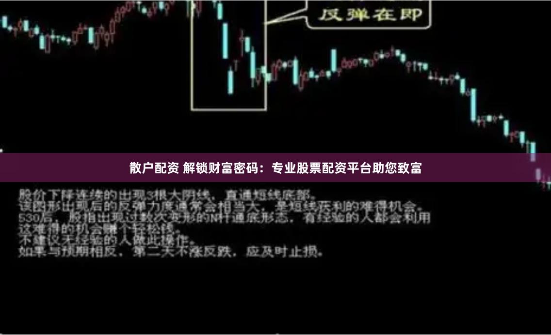 散户配资 解锁财富密码：专业股票配资平台助您致富
